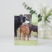 Carte Postale Le veau du bébé au printemps (Debout devant)