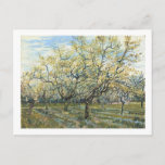 Carte Postale Le Verger Blanc (F403) Van Gogh Fine Art<br><div class="desc">White Orchard,  Vincent van Gogh 1888. Amsterdam. F 404</div>