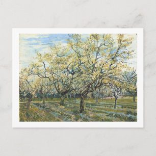 Carte Postale Le Verger Blanc (F403) Van Gogh Fine Art
