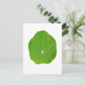 Carte Postale Le vert de soutien, sauvent la planète (Debout devant)