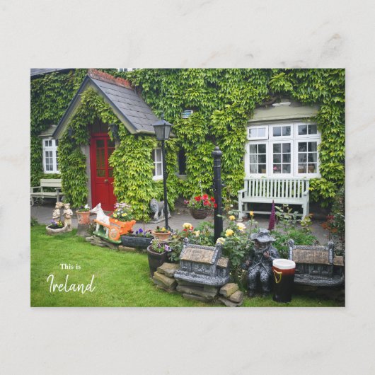 Carte Postale Le Vert de Westport - Irlande (Devant)