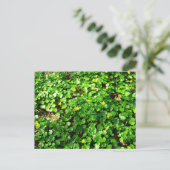 Carte Postale le vert est beau (Debout devant)