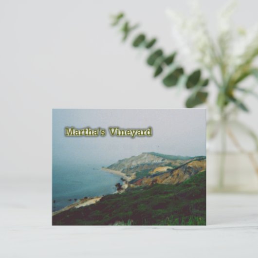 Carte Postale Le vignoble de Martha (Debout devant)