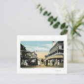 Carte Postale Le vignoble de Martha (Debout devant)