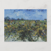 Carte Postale Le vignoble vert, Vincent Van Gogh (Devant)