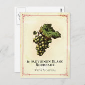 Carte Postale Le Vin Blanc (Devant / Derrière)