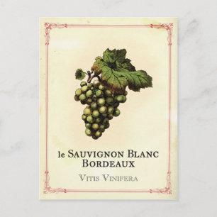 Carte Postale Le Vin Blanc
