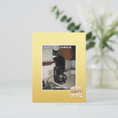 Carte Postale le wakin UV de la meilleure partie (Debout devant)