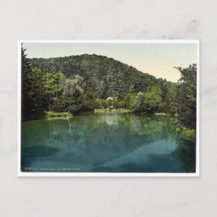 Carte Postale Le Waldsee, Fribourg, Baden, Allemagne rare Photoc