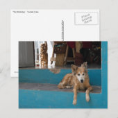 Carte Postale Le Watchdog. (Devant / Derrière)