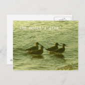 Carte postale - Le Water'F bien ! (Devant / Derrière)