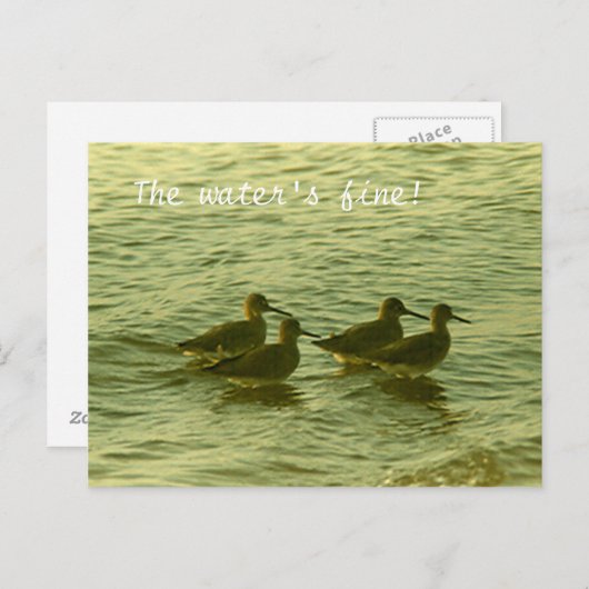 Carte postale - Le Water'F bien ! (Devant / Derrière)