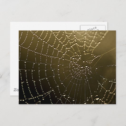 Carte Postale Le Web (Devant / Derrière)