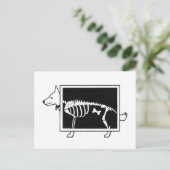 Carte Postale Le X-Ray du chien (Debout devant)