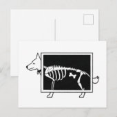 Carte Postale Le X-Ray du chien (Devant / Derrière)