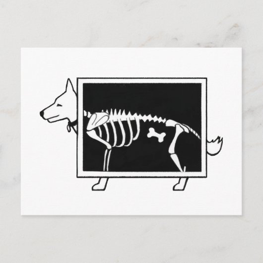 Carte Postale Le X-Ray du chien (Devant)