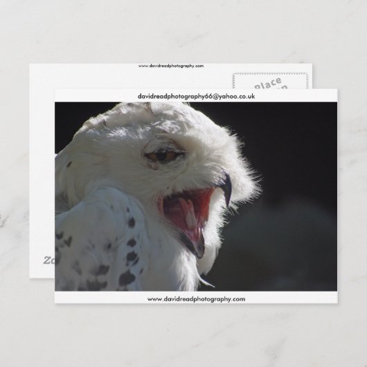 Carte Postale Le Yawn (Devant / Derrière)