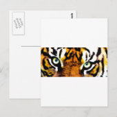 CARTE POSTALE LE YEUX DE TIGER (Devant / Derrière)
