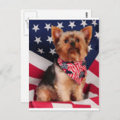 Carte Postale Le Yorkie américain (Devant / Derrière)