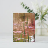 Carte Postale L'eau à travers les roseaux (Debout devant)