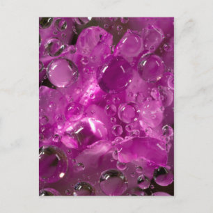 Carte Postale L'eau baisse sur la fleur, Californie