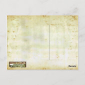 Carte Postale L'eau de marais (Dos)