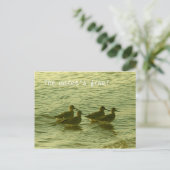 Carte postale - L'eau est superbe ! (Debout devant)