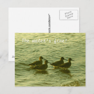 Carte postale - L'eau est superbe !