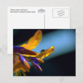 Carte Postale L'Eau Tombe Sur Les Pétales (Devant / Derrière)