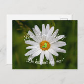 Carte Postale Lebe Dein Leben ! Du hast nur das eine! (Devant / Derrière)