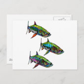 CARTE POSTALE L'ÉCOLE CONTINUE (Devant / Derrière)