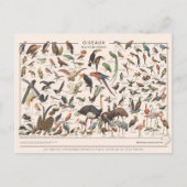 Carte Postale Leçons de (Devant)