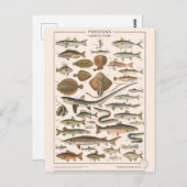 Carte Postale Leçons de (Devant / Derrière)