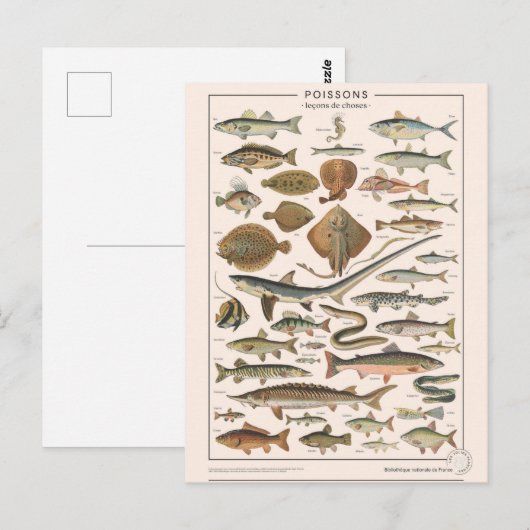 Carte Postale Leçons de (Devant / Derrière)