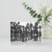 Carte Postale Leçons de natation (Debout devant)