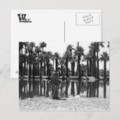 Carte Postale Leçons de natation (Devant / Derrière)