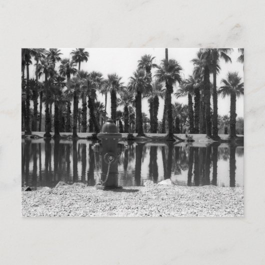 Carte Postale Leçons de natation (Devant)