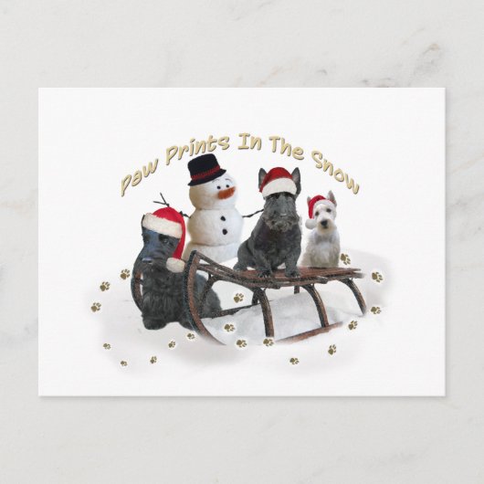 Carte Postale L'Ecosse Un Temps De Jeu (Devant)