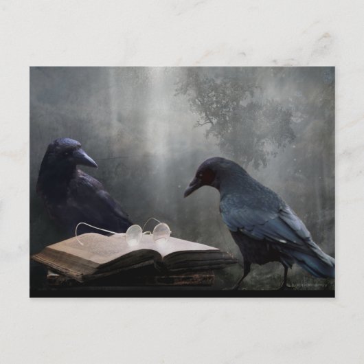 Carte Postale Lecteur (Devant)