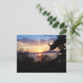 Carte Postale Lecteur Chuckanut (Debout devant)