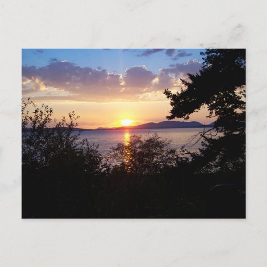 Carte Postale Lecteur Chuckanut (Devant)