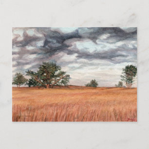 Carte Postale Lecteur Skyline Big Meadow