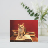 Carte Postale Lecture de chat Rester sur les livres Passage (Debout devant)