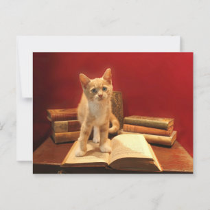 Carte Postale Lecture de chat Rester sur les livres Passage