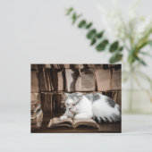 Carte Postale Lecture de chats en lunettes (Debout devant)