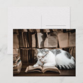 Carte Postale Lecture de chats en lunettes (Devant / Derrière)