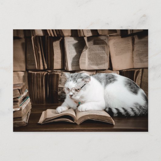 Carte Postale Lecture de chats en lunettes (Devant)