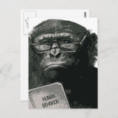 Carte Postale Lecture de Chimp (Devant / Derrière)