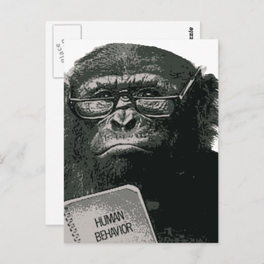 Carte Postale Lecture de Chimp (Devant / Derrière)