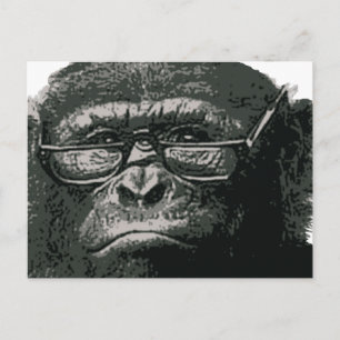 Carte Postale Lecture de Chimp